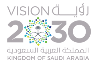 Vision 2030
